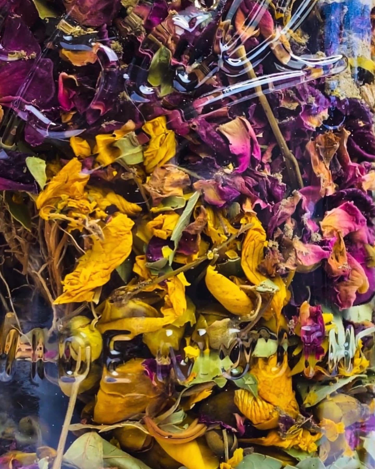 BOTANICALS