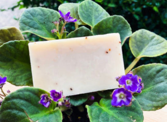 AFRICAN VIOLET